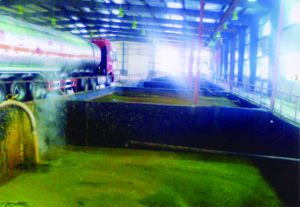 九三集團皂角池防腐